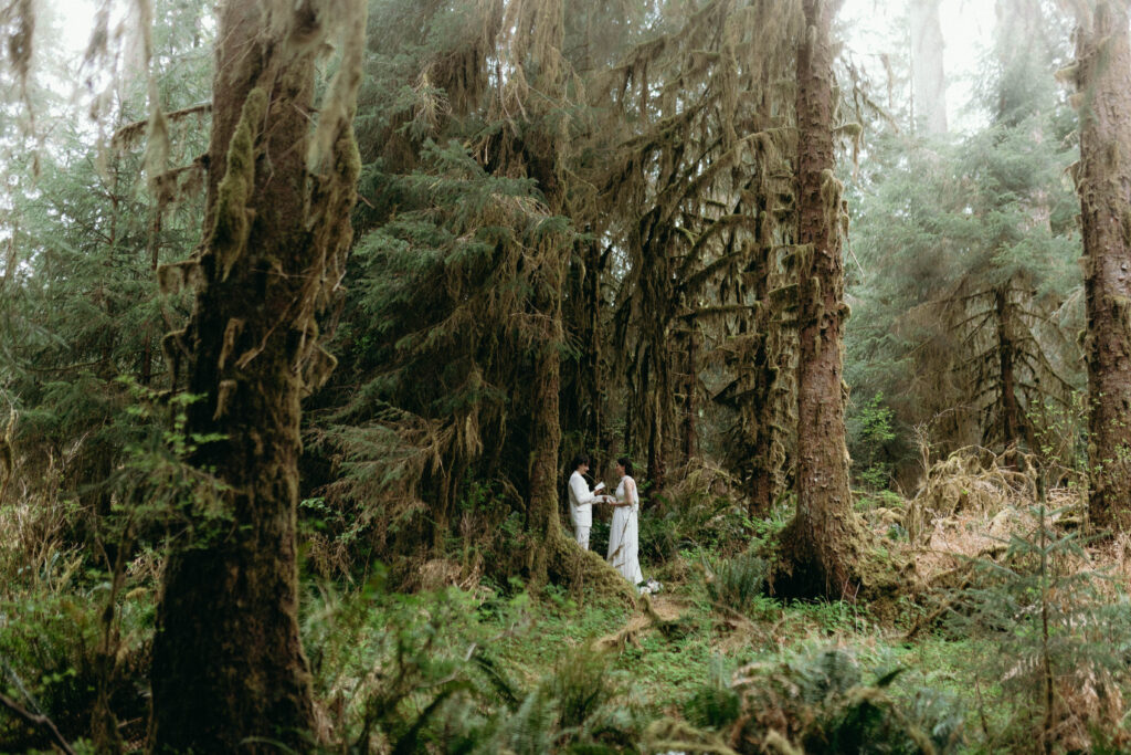 Two brides reading vows to each other during their Hoh Rainforest elopement in Olympic National Park, standing on a moss-covered nurse log surrounded by sword ferns and old-growth Sitka spruce, captured from a wide angle showing the scale of the temperate rainforest.
