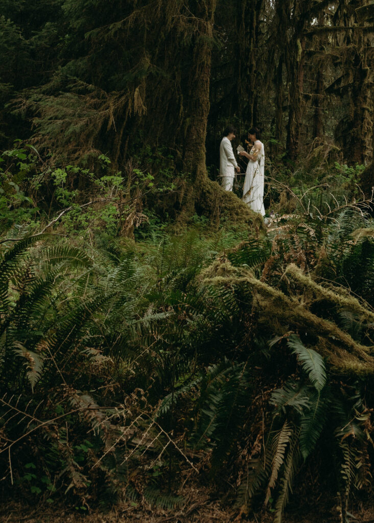 Two brides reading vows to each other during their Hoh Rainforest elopement in Olympic National Park, standing on a moss-covered nurse log surrounded by sword ferns and old-growth Sitka spruce, captured from a wide angle showing the scale of the temperate rainforest.
