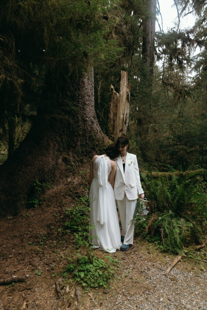 A couple snuggles under a large spruce tree for their olympic national park elopement