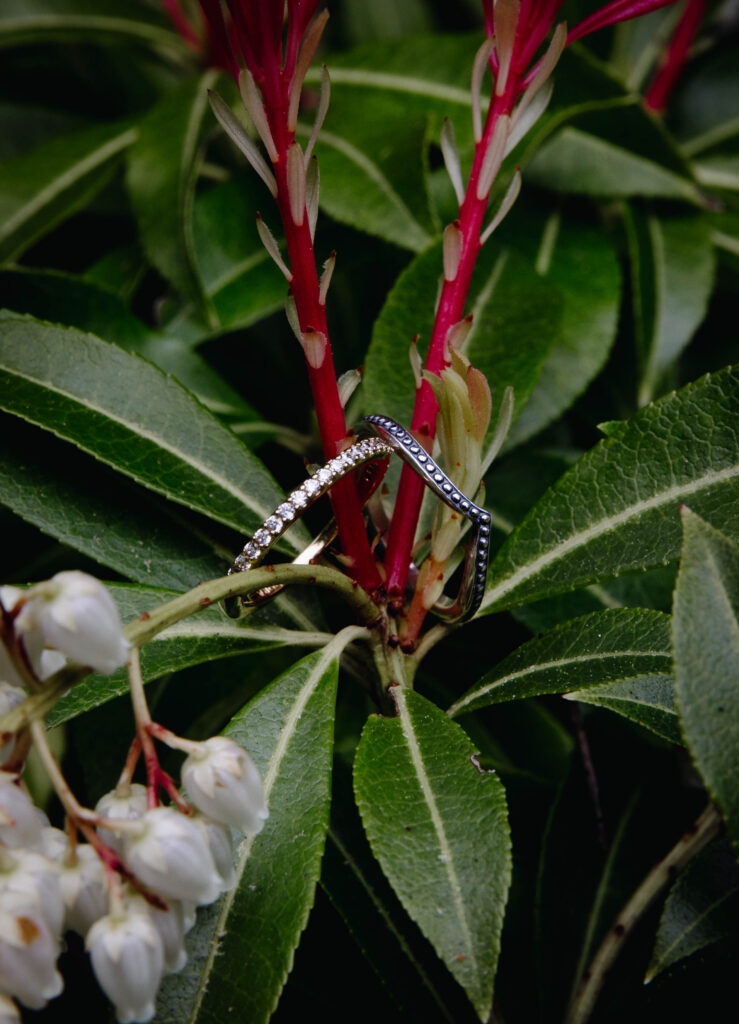 Two wedding bands resting on a red-stemmed salal plant in the Hoh Rainforest, one gold diamond eternity band and one oxidized silver beaded band, with white bell-shaped flowers visible in the foreground.