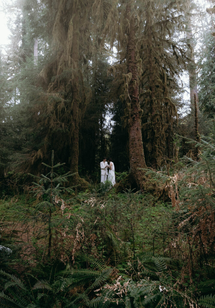 Two brides in white standing together among towering moss-draped Sitka spruce during their Olympic National Park elopement, dwarfed by the old-growth Hoh Rainforest canopy with sword ferns and young spruce saplings filling the foreground.